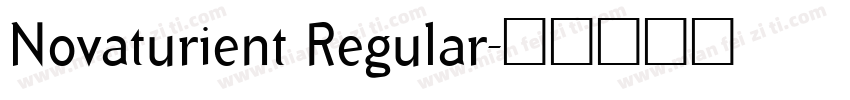 Novaturient Regular字体转换